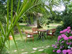 picture of Le jardin exotique de Cosy Home